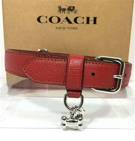 coach dog collar sale.